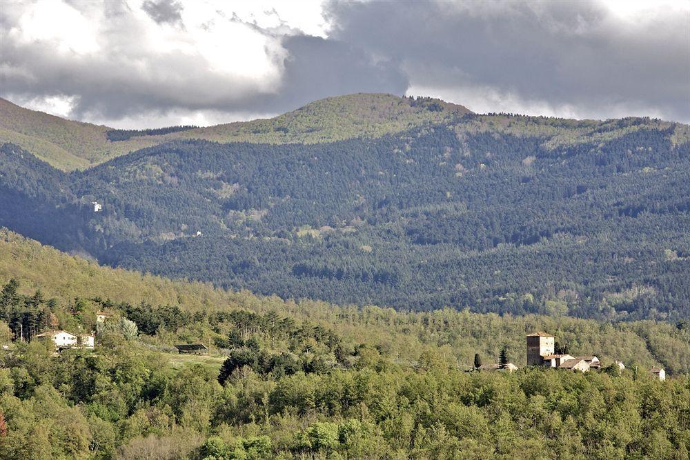 Castello Di Ristonchi Villa Pelago Eksteriør bilde