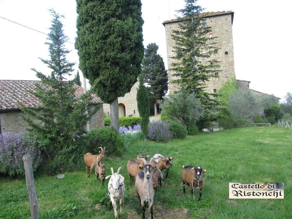 Castello Di Ristonchi Villa Pelago Eksteriør bilde